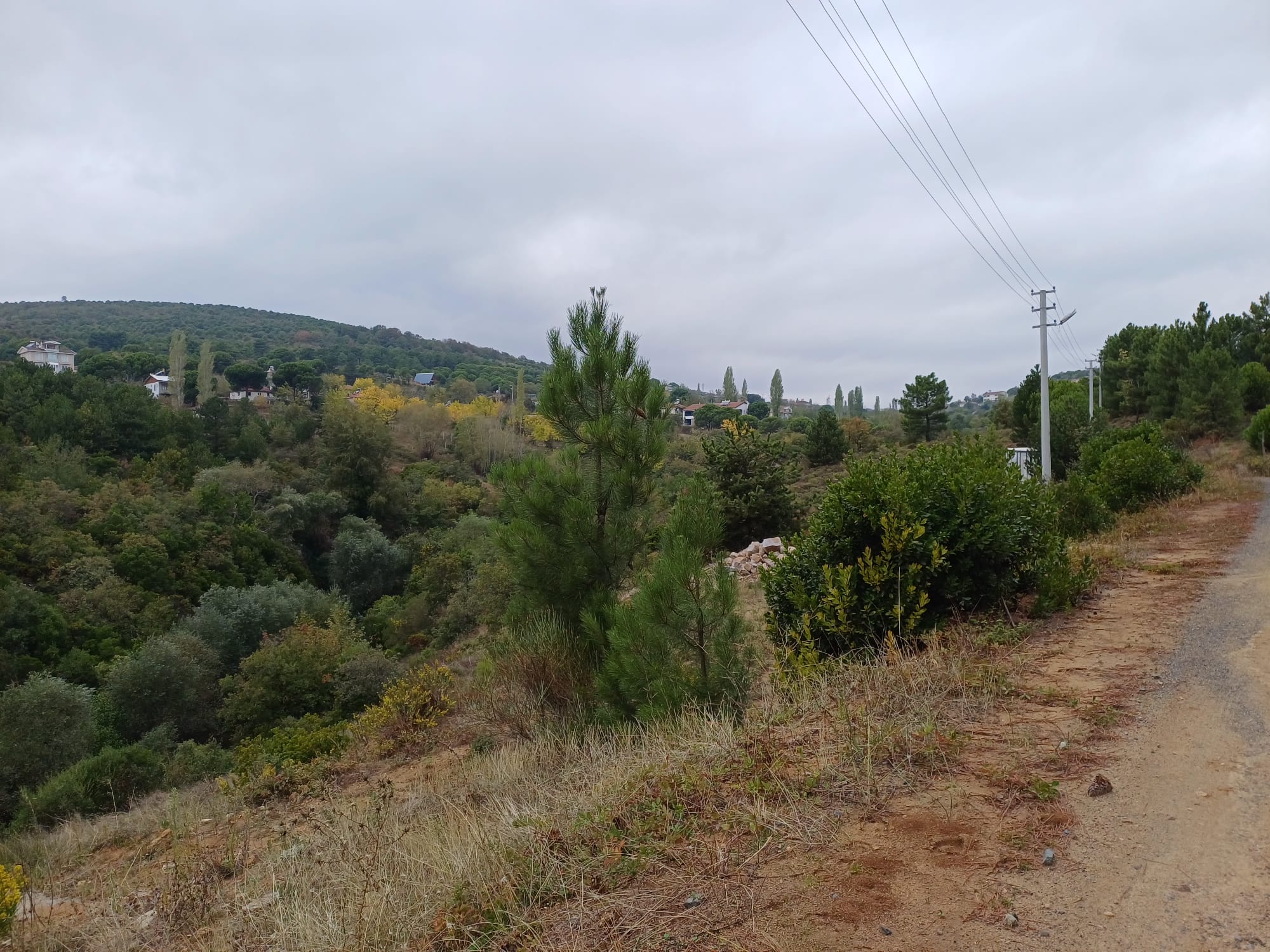 DENİZ MANZARALI ARMUTLU MECİDİYE KÖYÜNDE 1700M2 İKİ KAT İMARLI ARSA